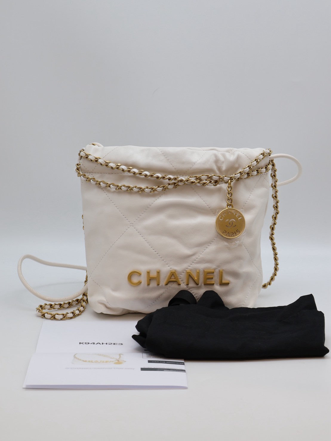 CHANEL 22 Mini Bag - 白金