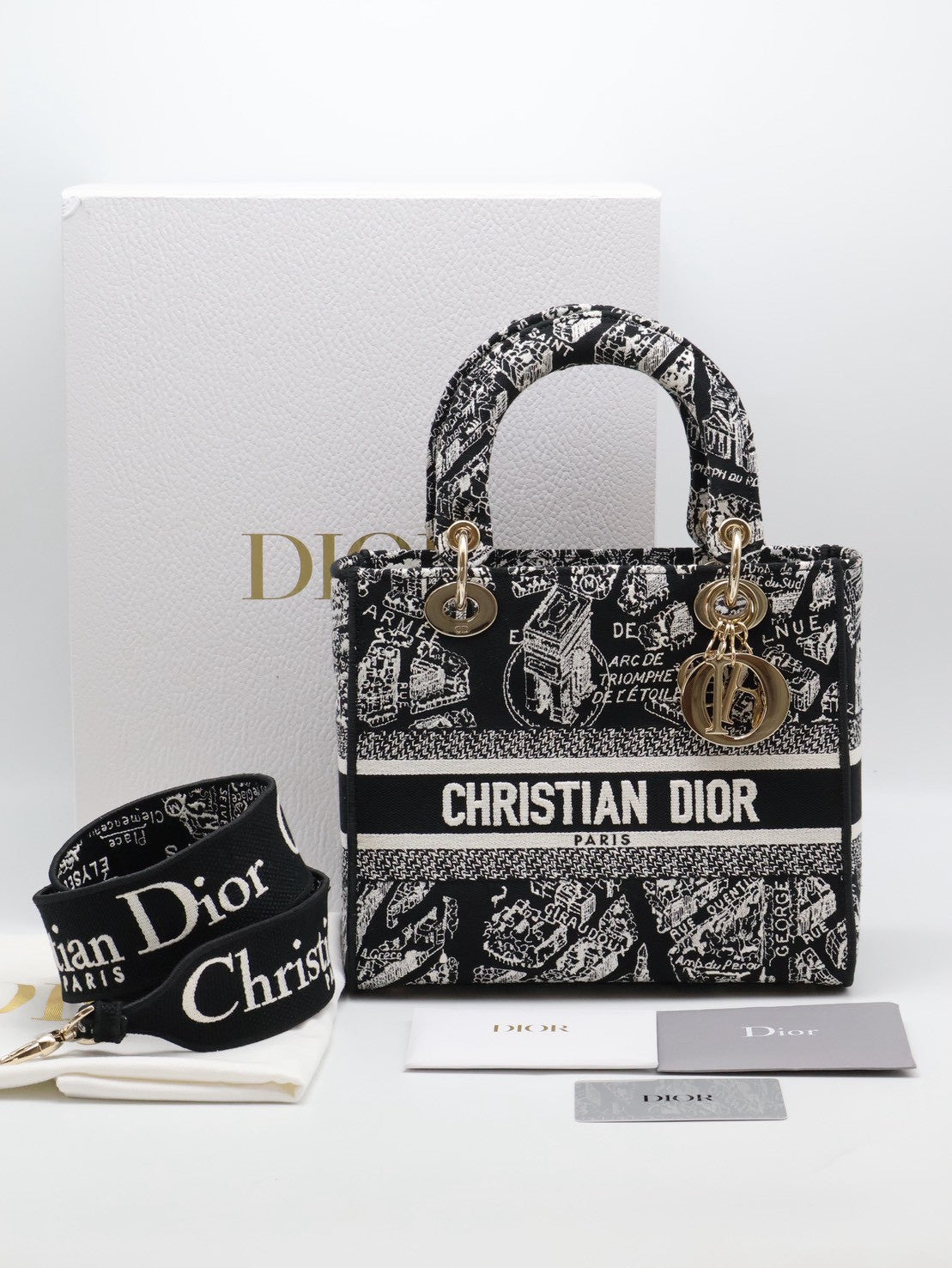 DIOR Lady D-Lite 中號 - 巴黎大道