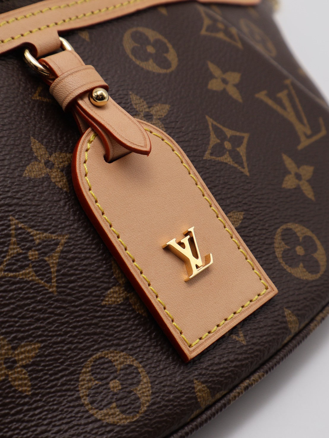 LOUIS VUITTON High rise斜背包