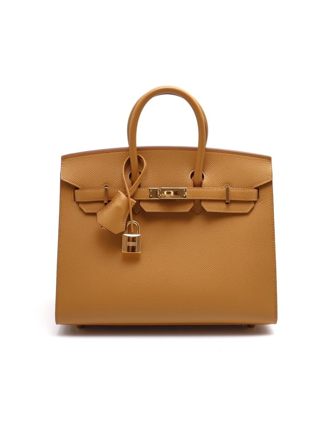 HERMES Birkin 25 - 芝麻金
