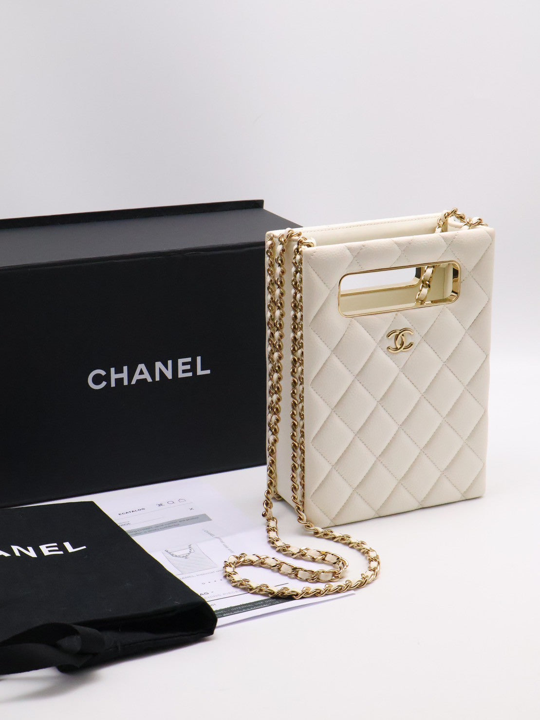 CHANEL 22S盒子晚宴包 - 白金