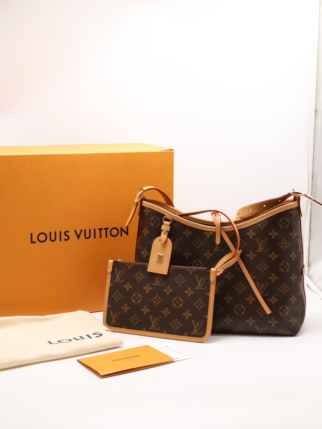 LOUIS VUITTON CarryAll PM