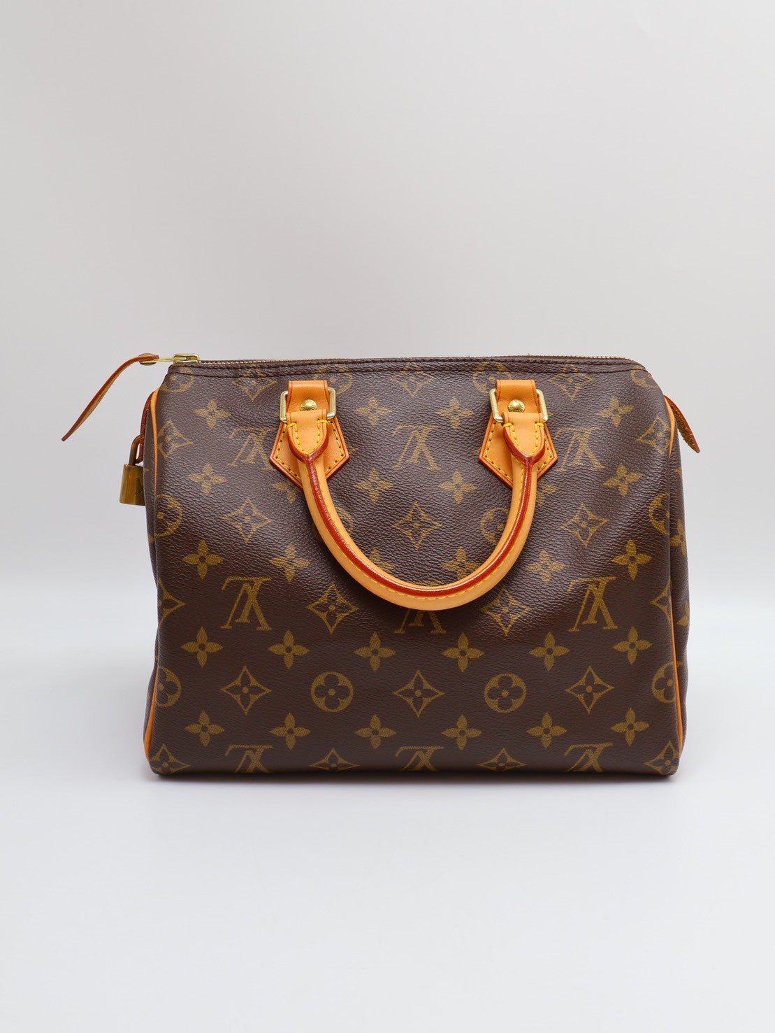 LOUIS VUITTON Speedy 25