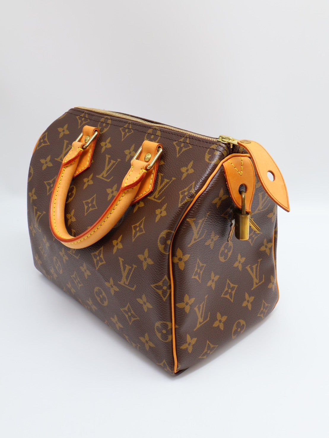 LOUIS VUITTON Speedy 25