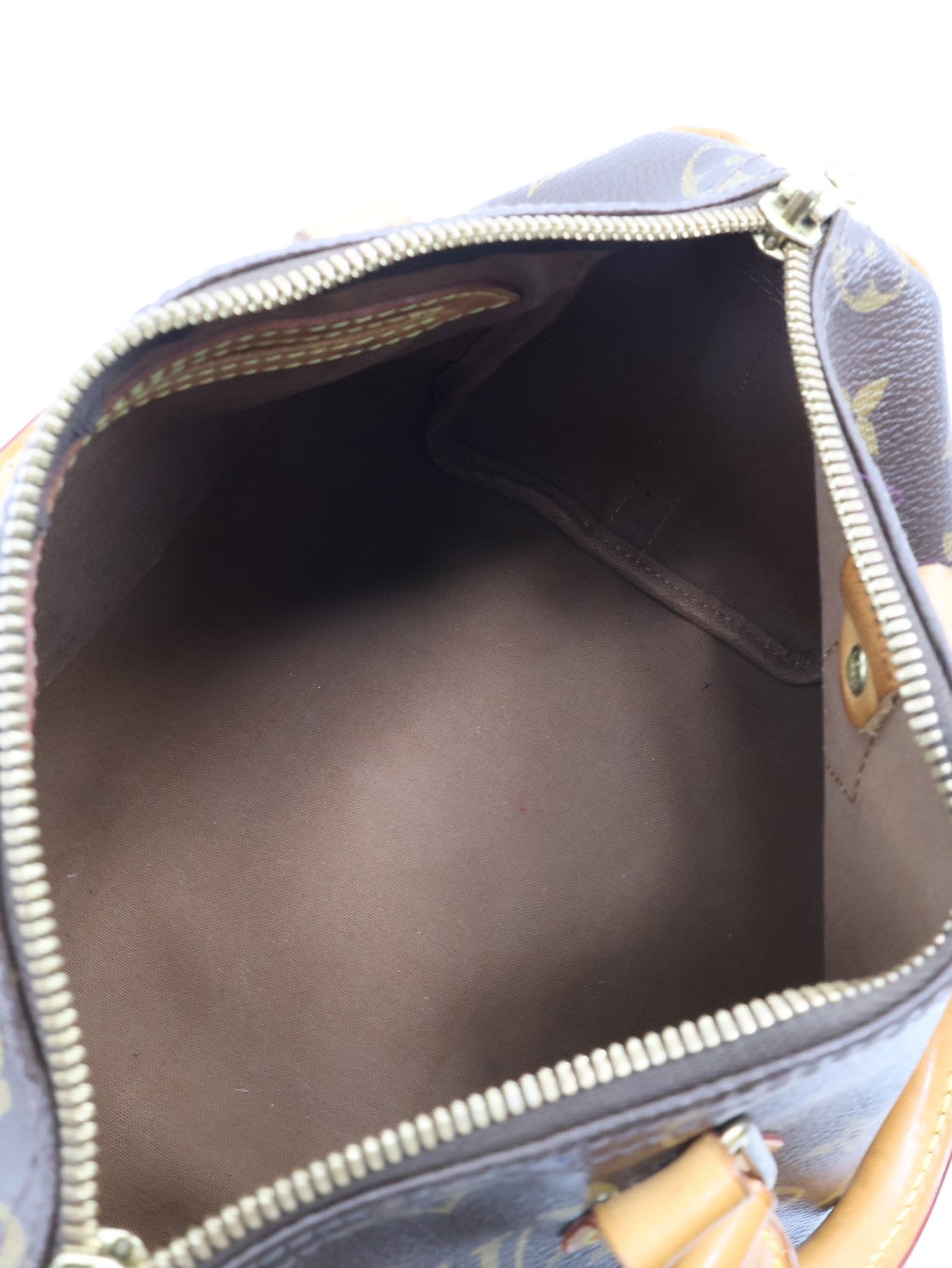 LOUIS VUITTON Speedy 25