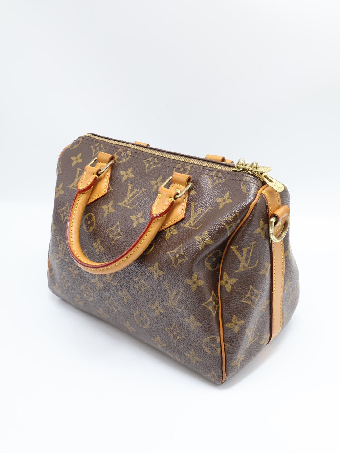 LOUIS VUITTON Speedy 25