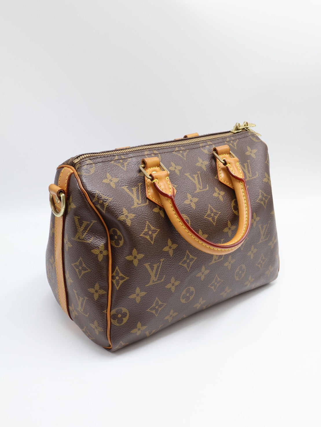 LOUIS VUITTON Speedy 25