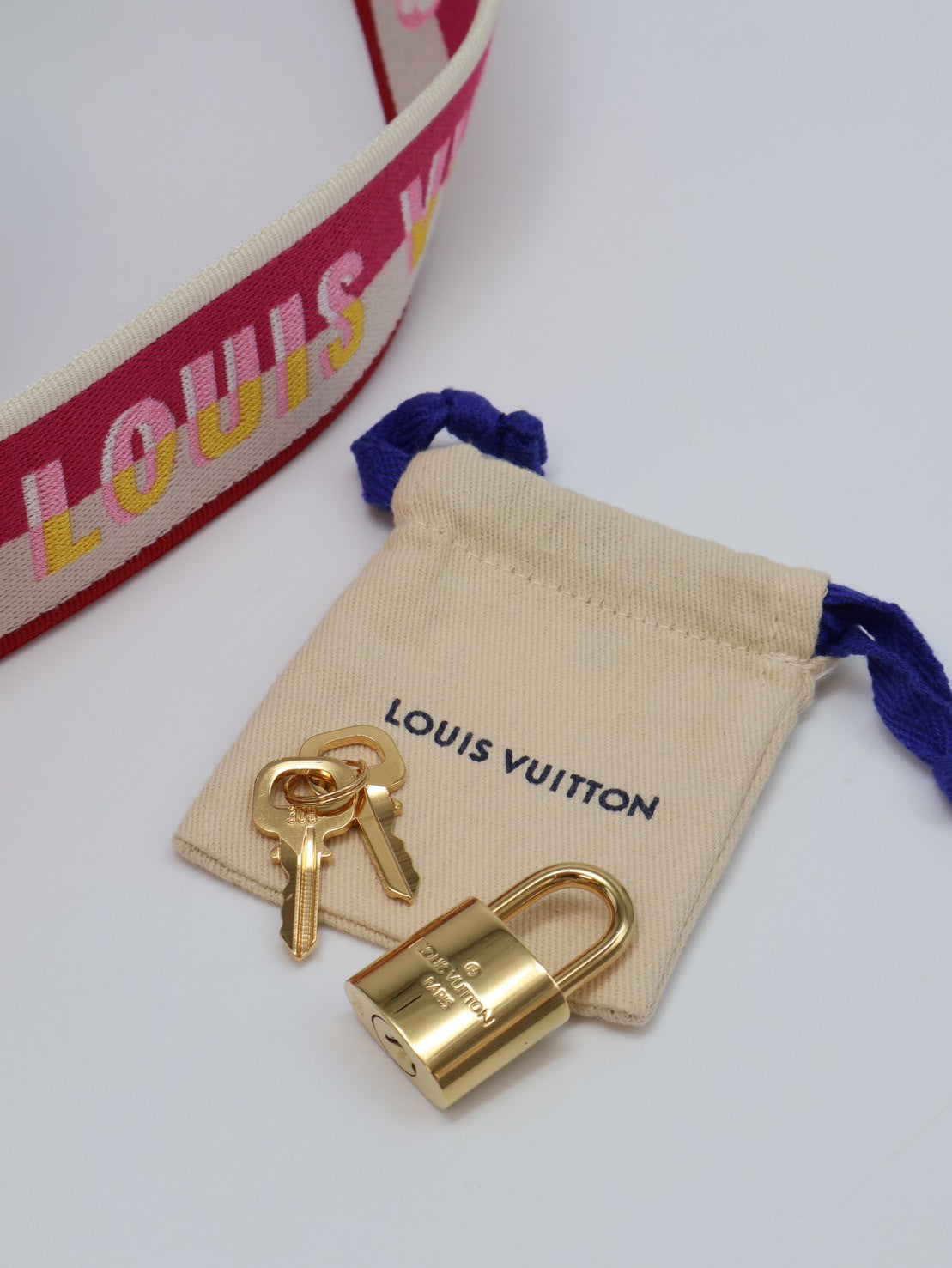 LOUIS VUITTON Speedy 20