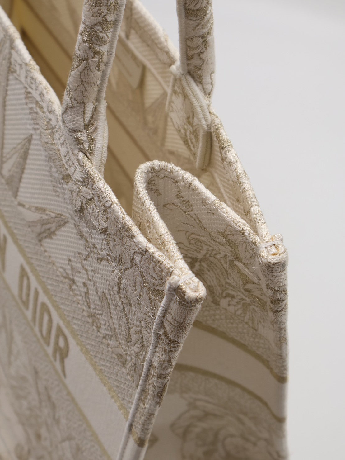 DIOR 刺繡無限夢境Tote - 中號白金