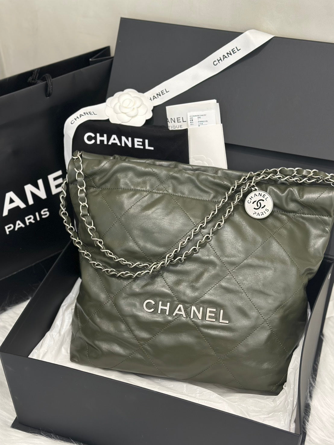 CHANEL 22 Bag - 小號古巴綠銀