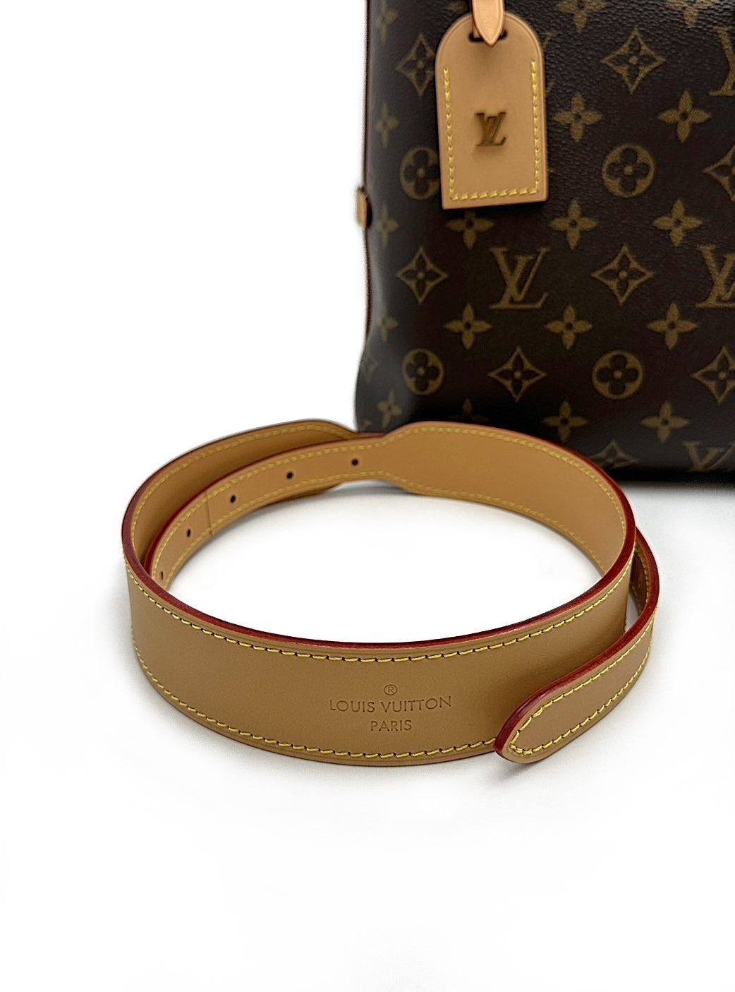 LOUIS VUITTON CarryAll PM