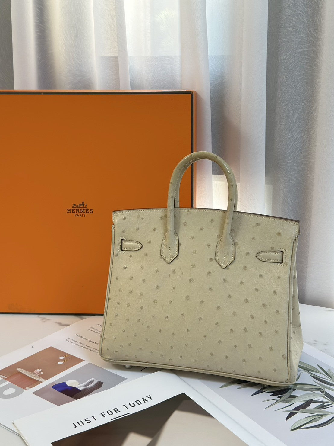 HERMES Birkin 25 - 鴕鳥皮羊毛白銀 🄾
