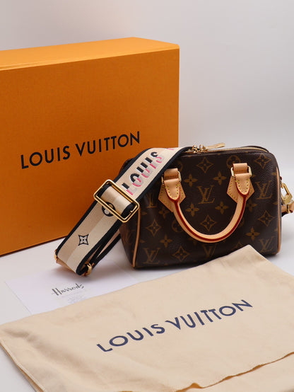 LOUIS VUITTON Speedy 20