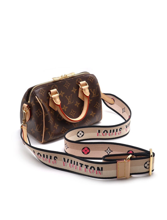 LOUIS VUITTON Speedy 20