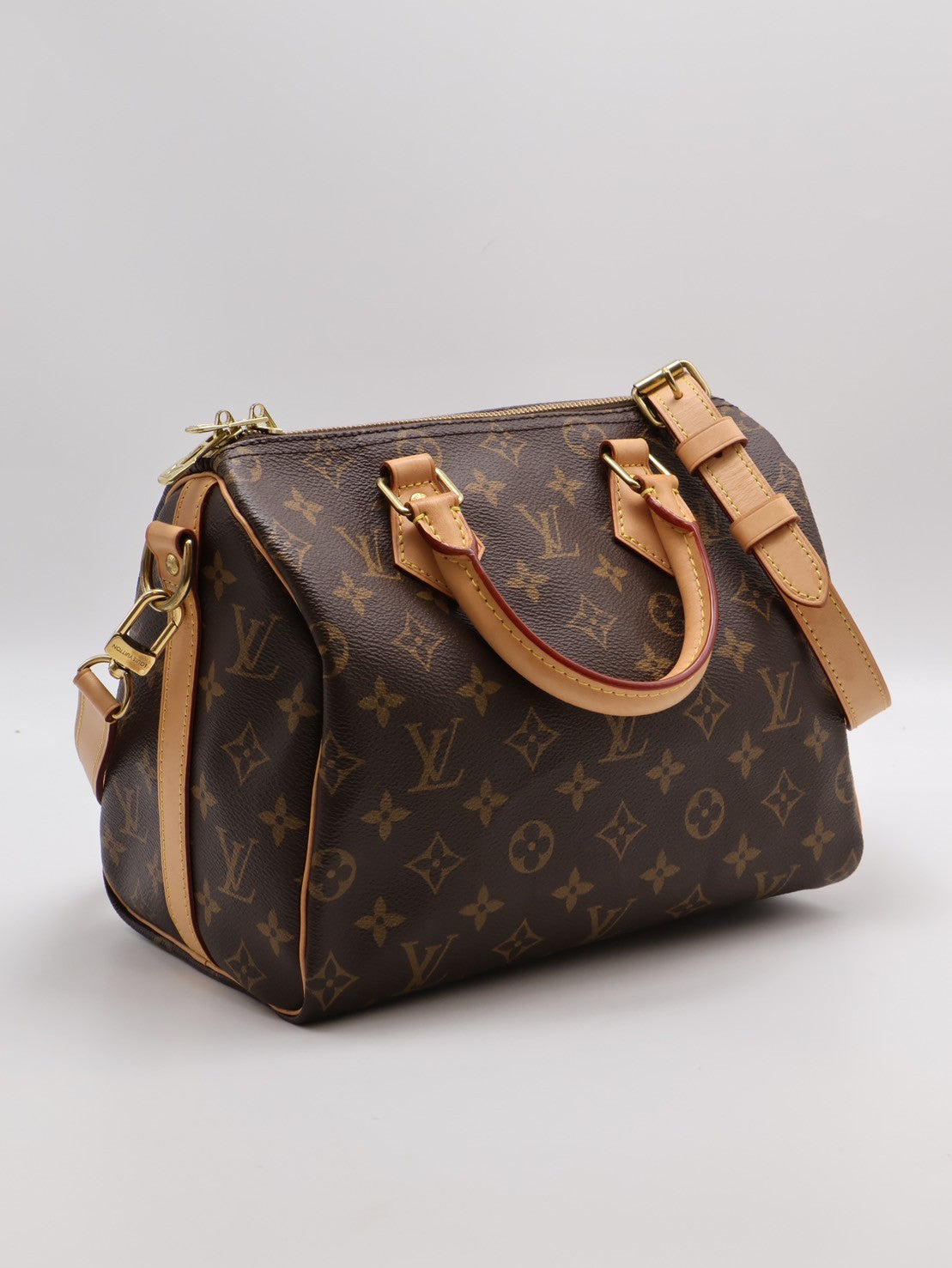 LOUIS VUITTON Speedy 25