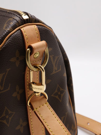 LOUIS VUITTON Speedy 25
