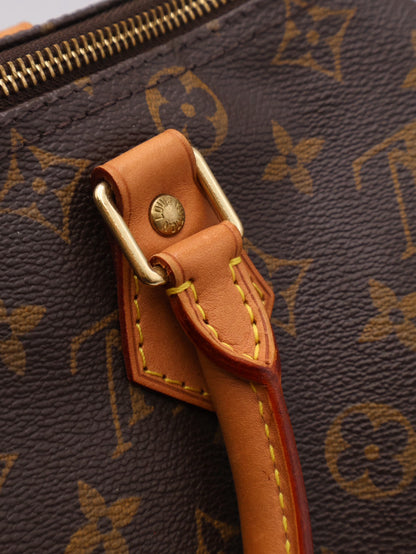 LOUIS VUITTON Speedy 30