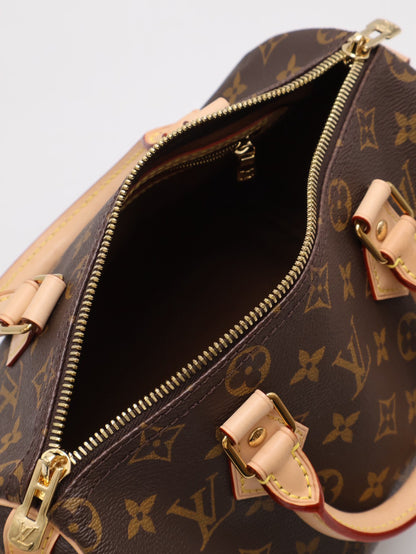LOUIS VUITTON Speedy 25