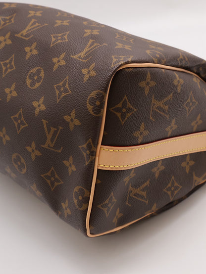 LOUIS VUITTON Speedy 25