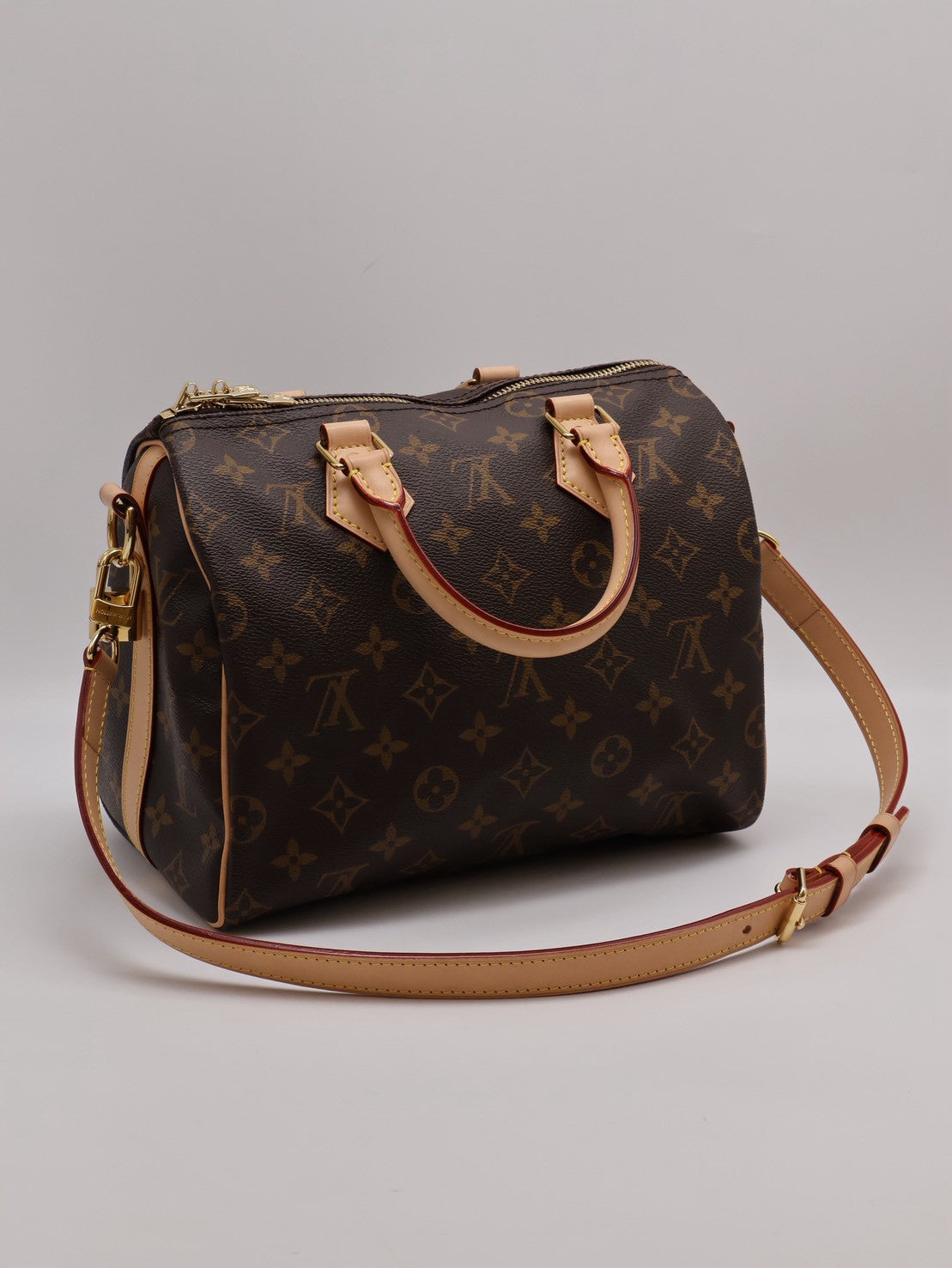 LOUIS VUITTON Speedy 25