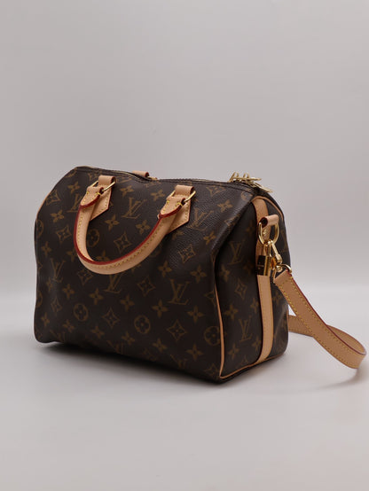 LOUIS VUITTON Speedy 25
