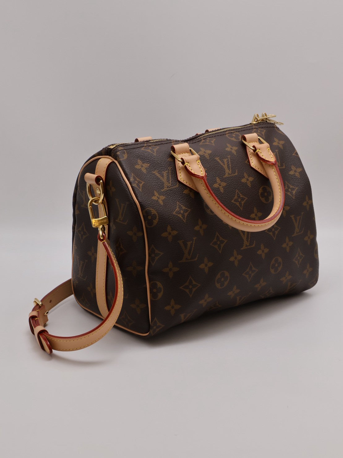 LOUIS VUITTON Speedy 25