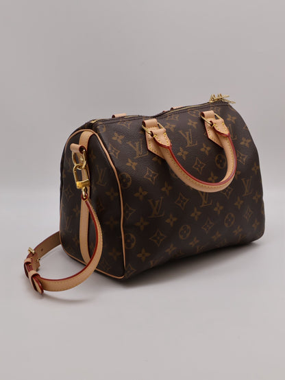 LOUIS VUITTON Speedy 25