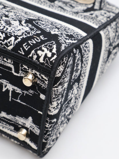 DIOR Lady D-Lite 中號 - 巴黎大道