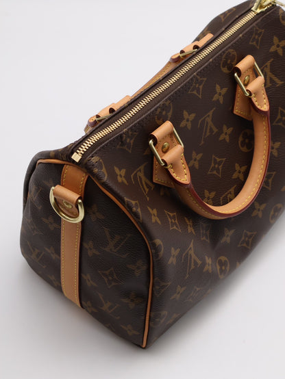 LOUIS VUITTON Speedy 25