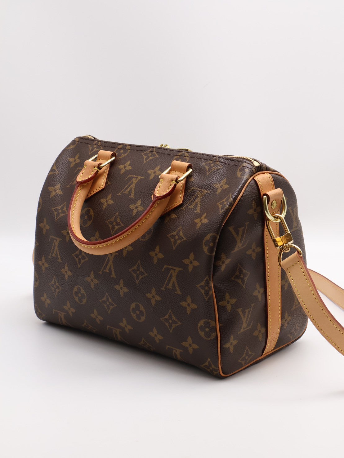LOUIS VUITTON Speedy 25
