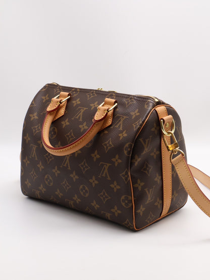 LOUIS VUITTON Speedy 25