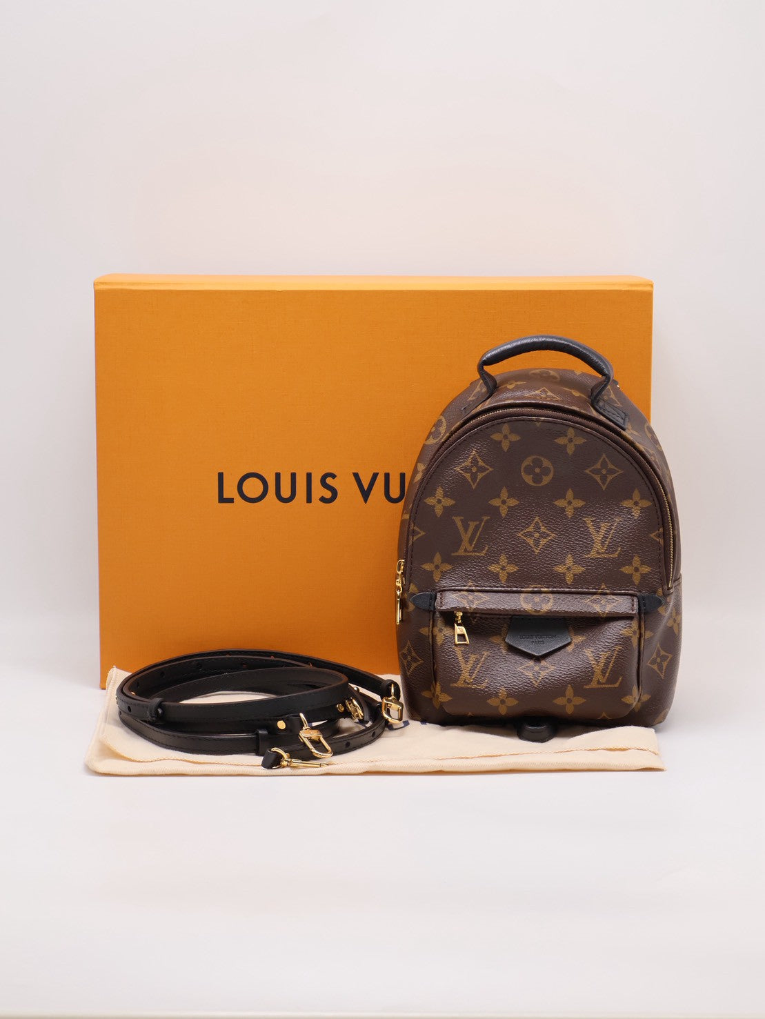 LOUIS VUITTON Palm Springs後背包 - Mini
