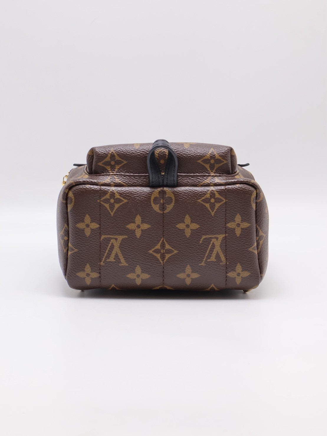 LOUIS VUITTON Palm Springs後背包 - Mini