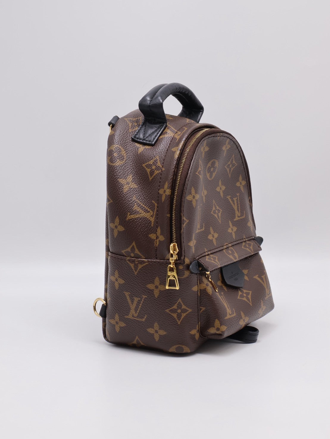 LOUIS VUITTON Palm Springs後背包 - Mini