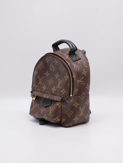 LOUIS VUITTON Palm Springs後背包 - Mini
