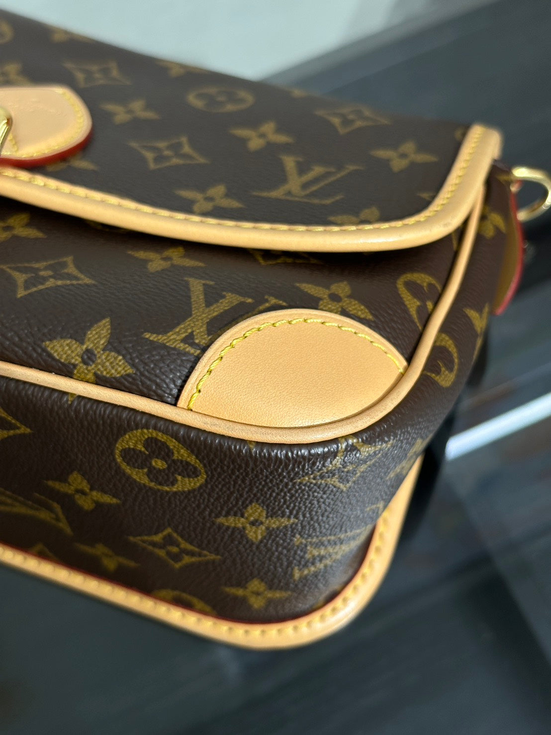 LOUIS VUITTON Diane法棍包 - 紫紅字母背帶