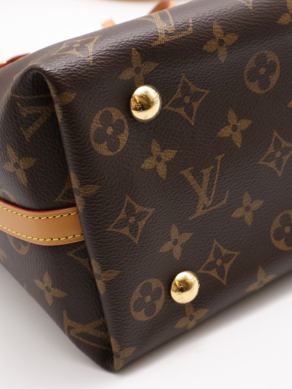LOUIS VUITTON CarryAll PM