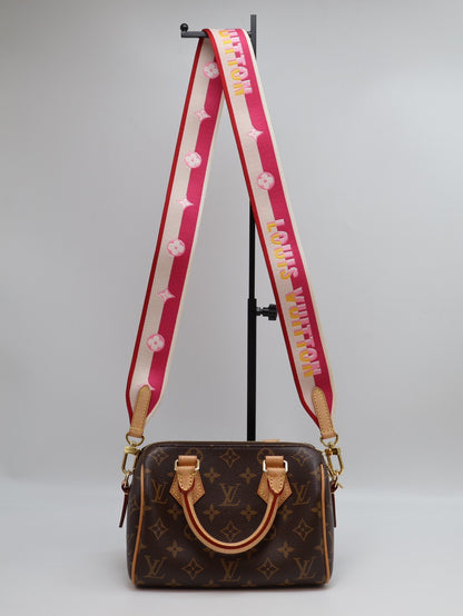 LOUIS VUITTON Speedy 20