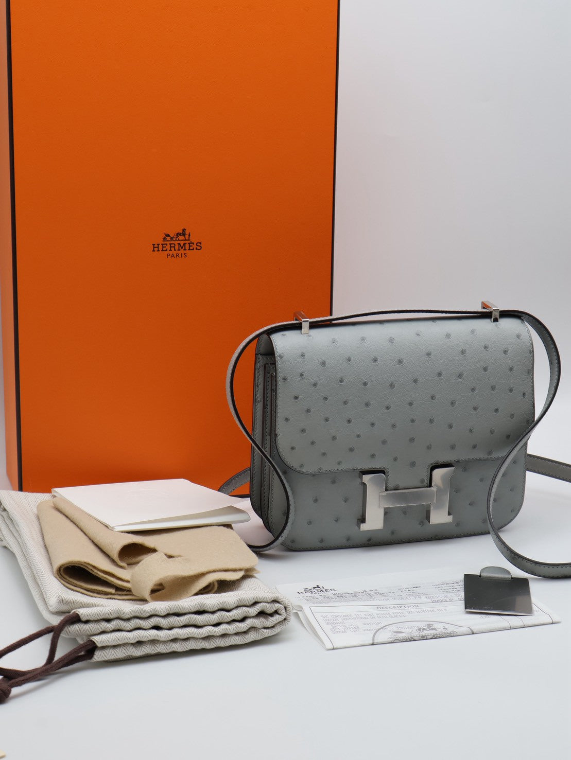 HERMES Mini Constance 19 - Bleu Glacier 8U 鴕鳥皮冰川藍銀 W