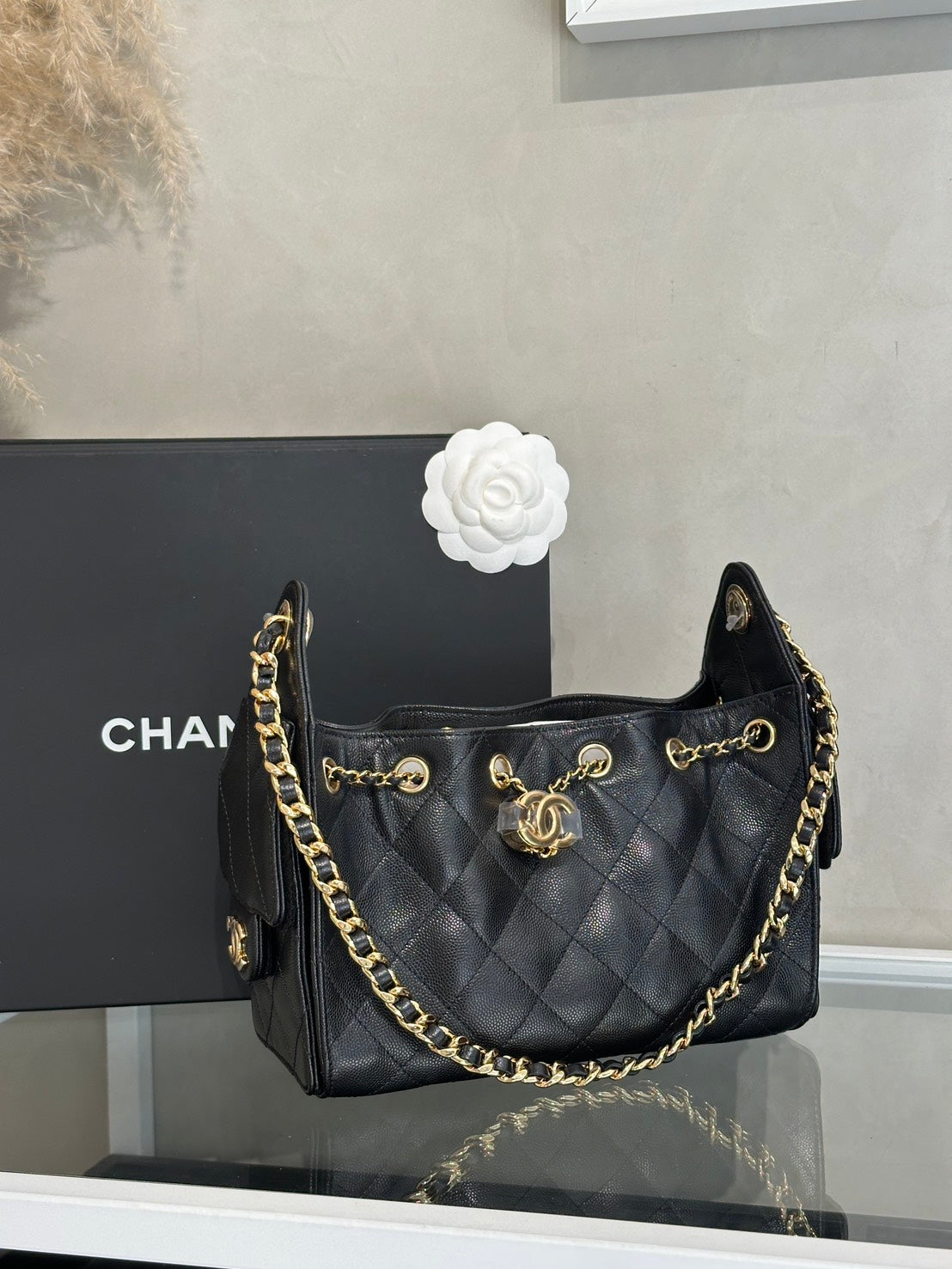 CHANEL 25 Mini Hobo Bag - 黑金