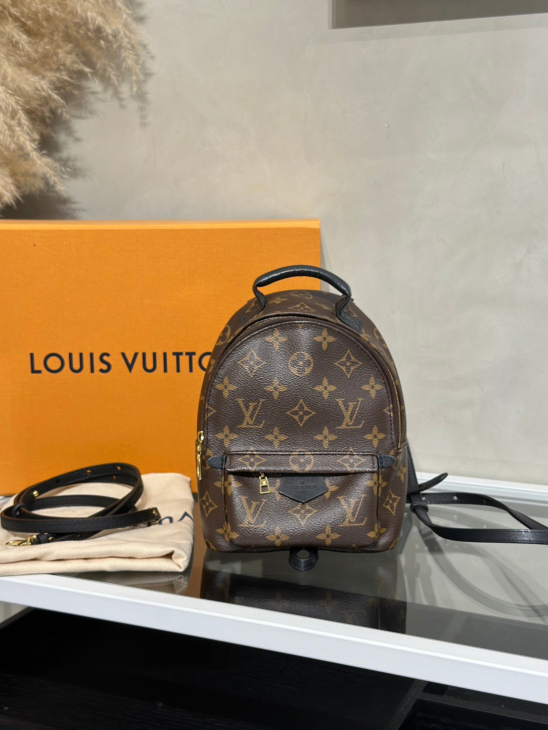 LOUIS VUITTON Palm Springs後背包 - Mini