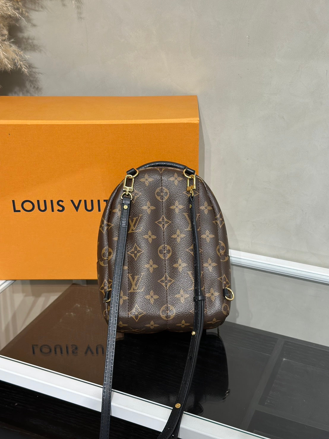 LOUIS VUITTON Palm Springs後背包 - Mini