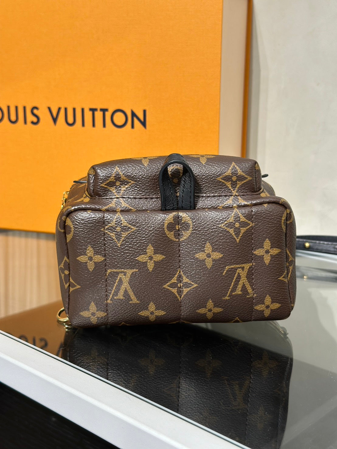LOUIS VUITTON Palm Springs後背包 - Mini