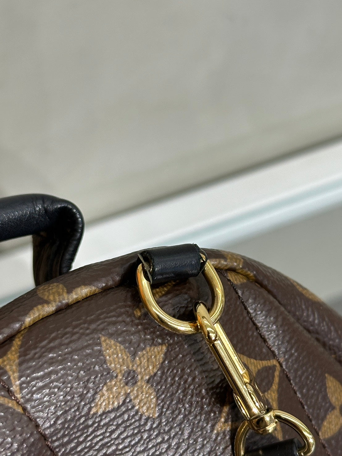 LOUIS VUITTON Palm Springs後背包 - Mini
