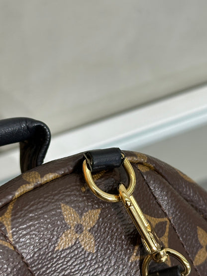 LOUIS VUITTON Palm Springs後背包 - Mini