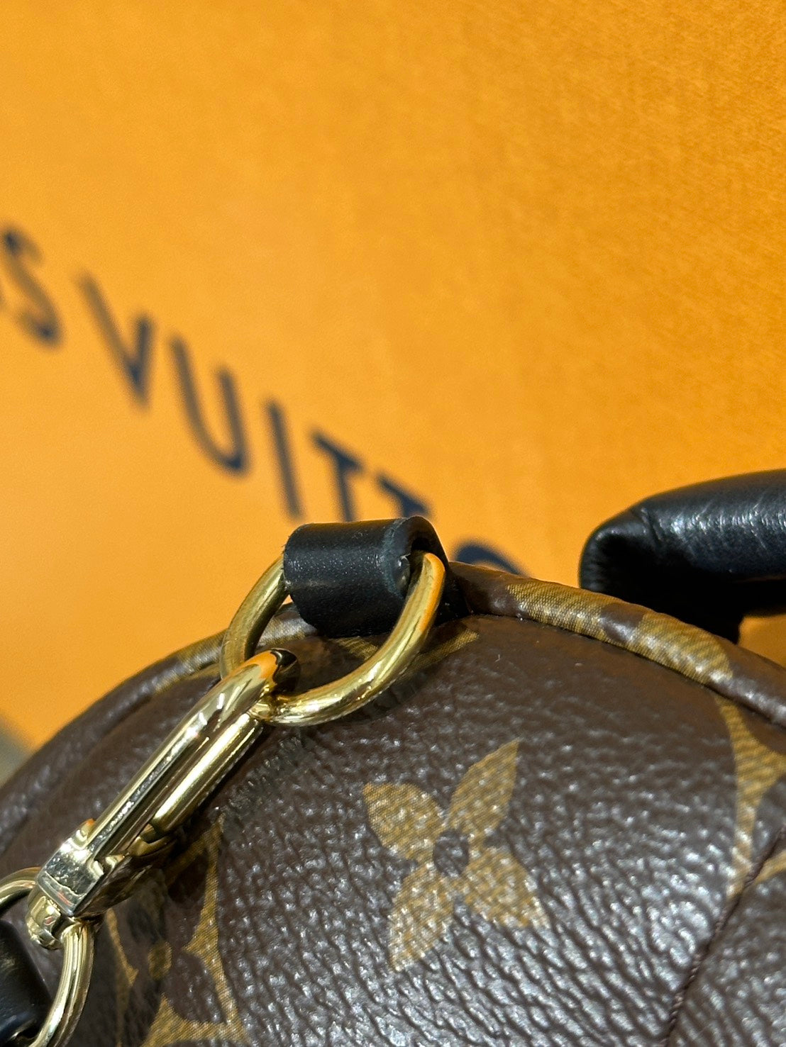 LOUIS VUITTON Palm Springs後背包 - Mini