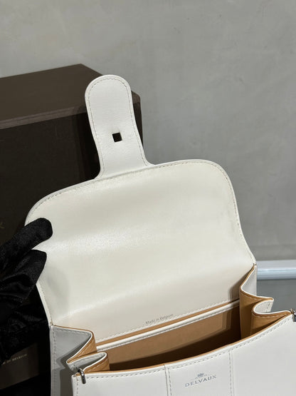 Delvaux Mini Brillant - 白