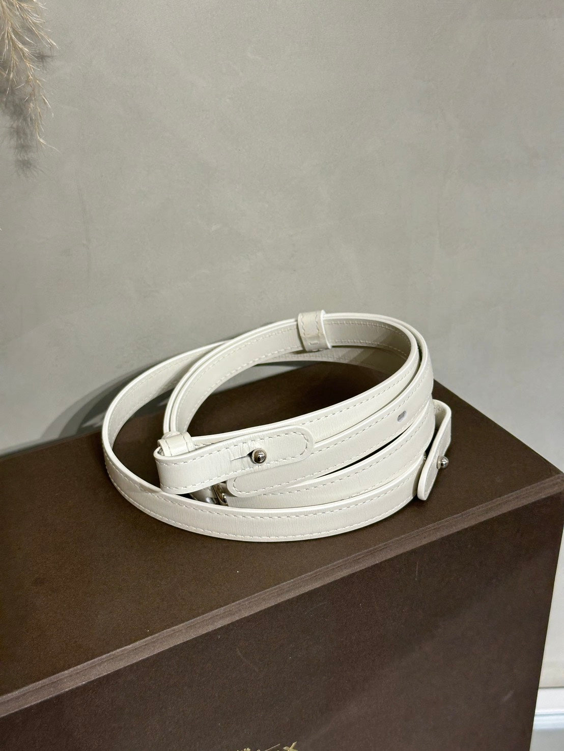 Delvaux Mini Brillant - 白