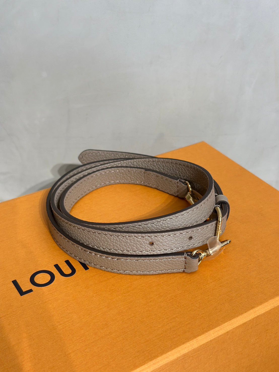 LOUIS VUITTON Nano Noe - 斑鳩灰