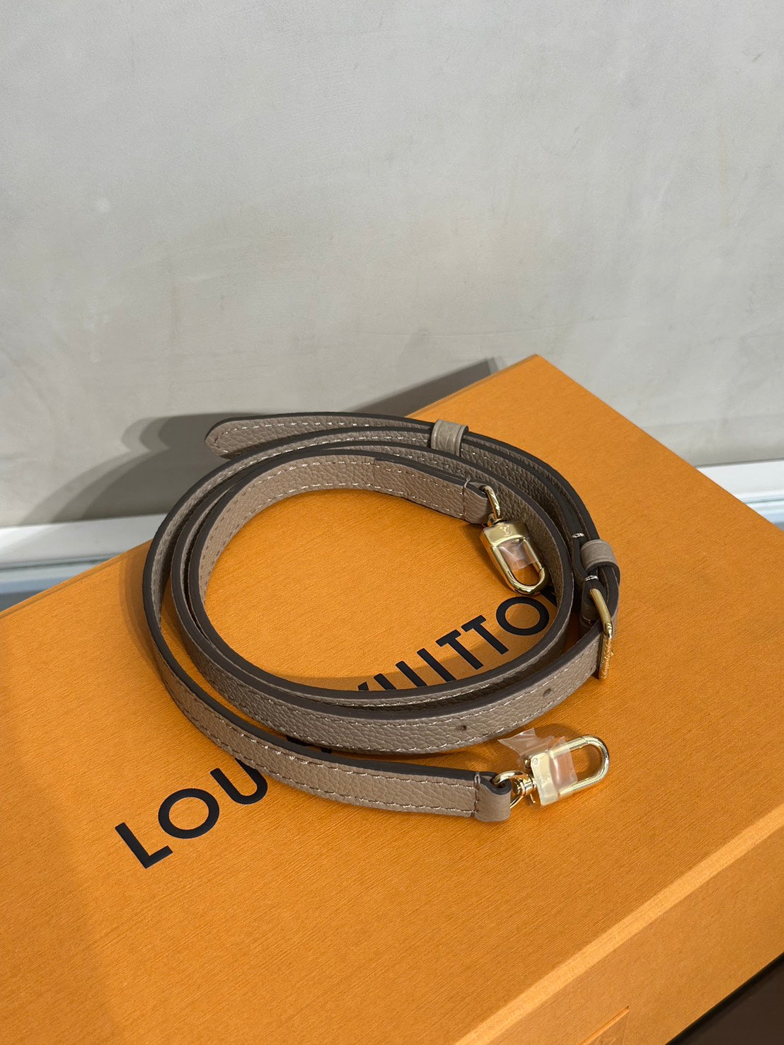 LOUIS VUITTON Nano Noe - 斑鳩灰